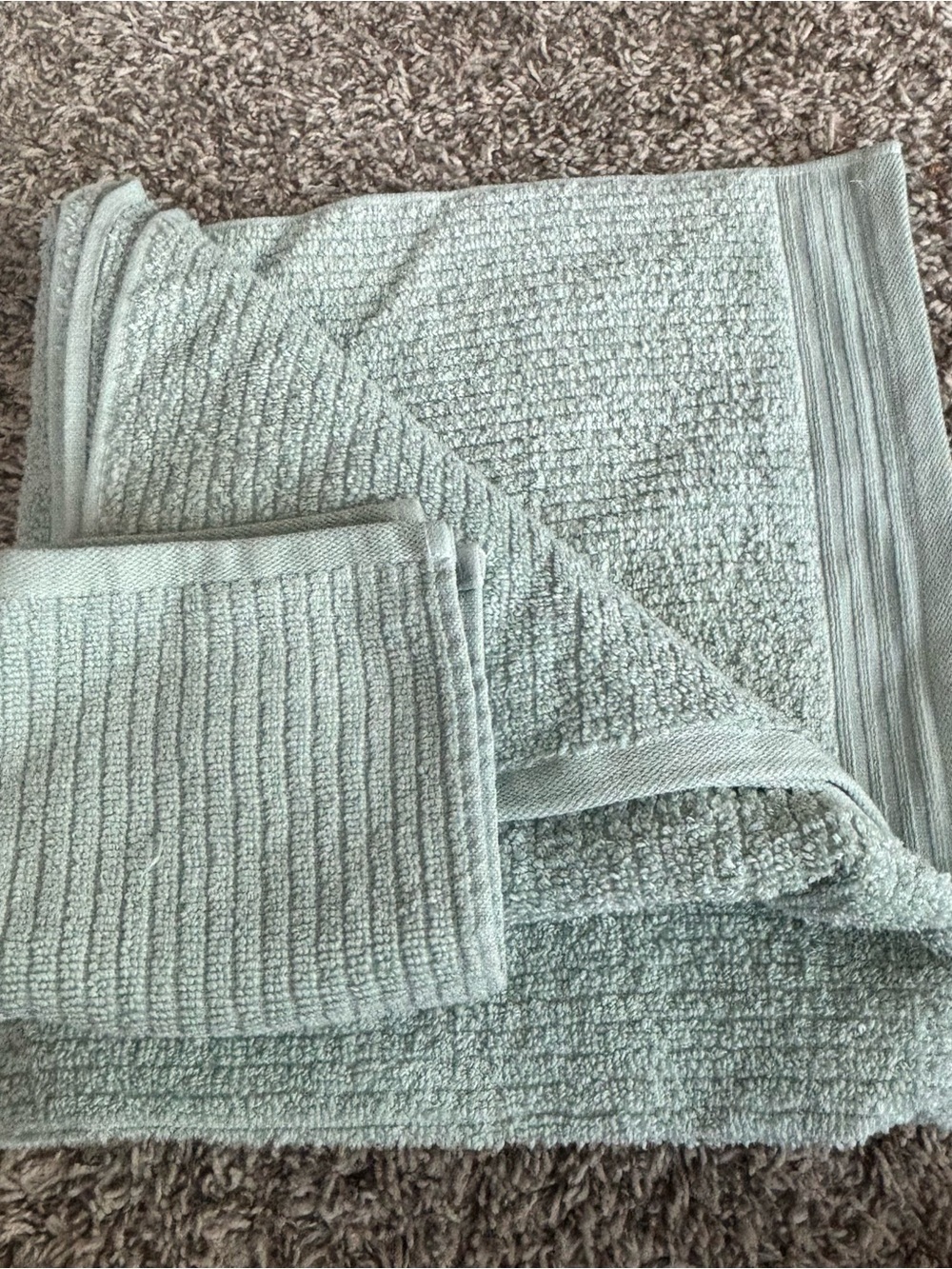 The Company Store Sage Green Plush Bath Towels - Soft Textured Set